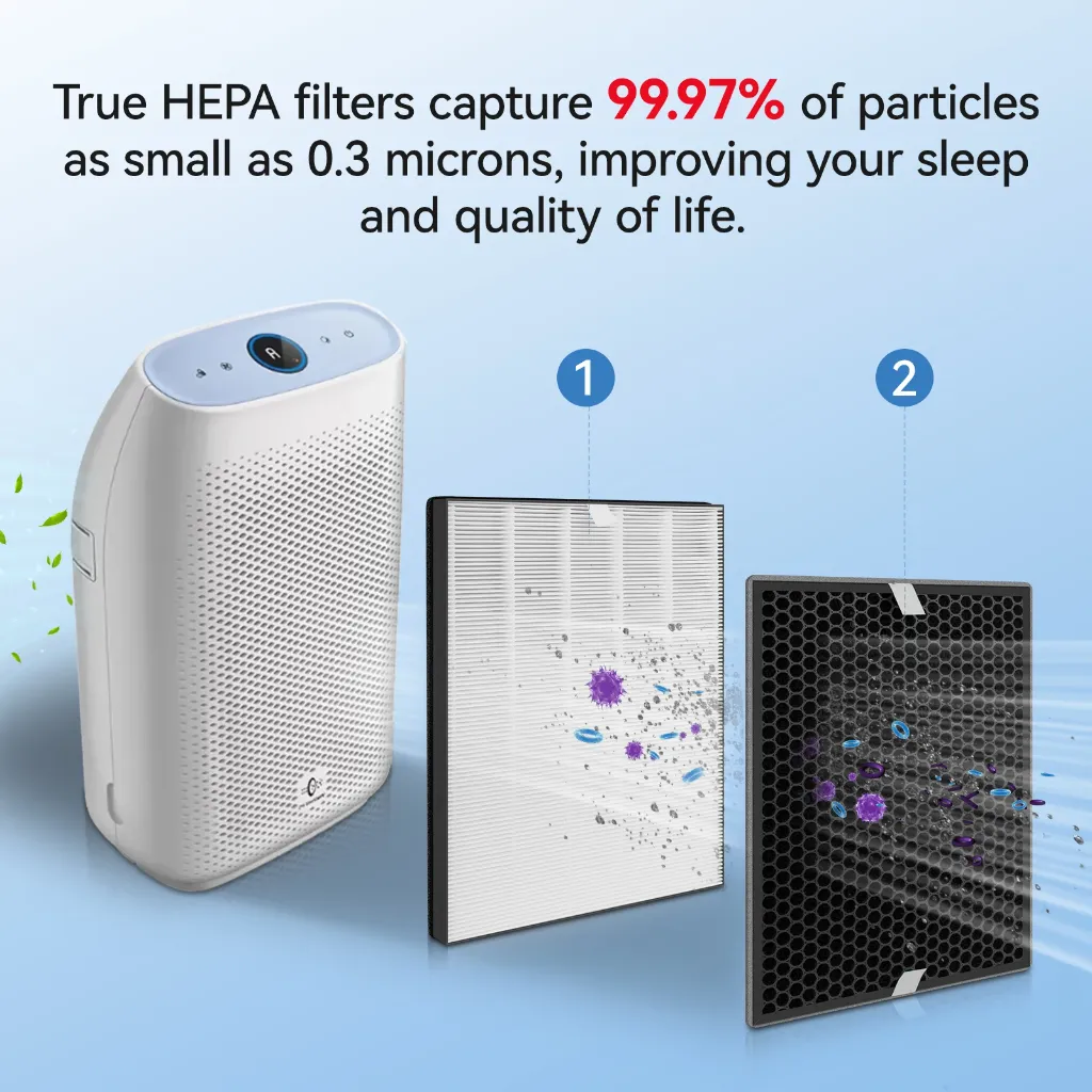 S221821edc0ac4e96b582a0cc11f1e5f80.webp